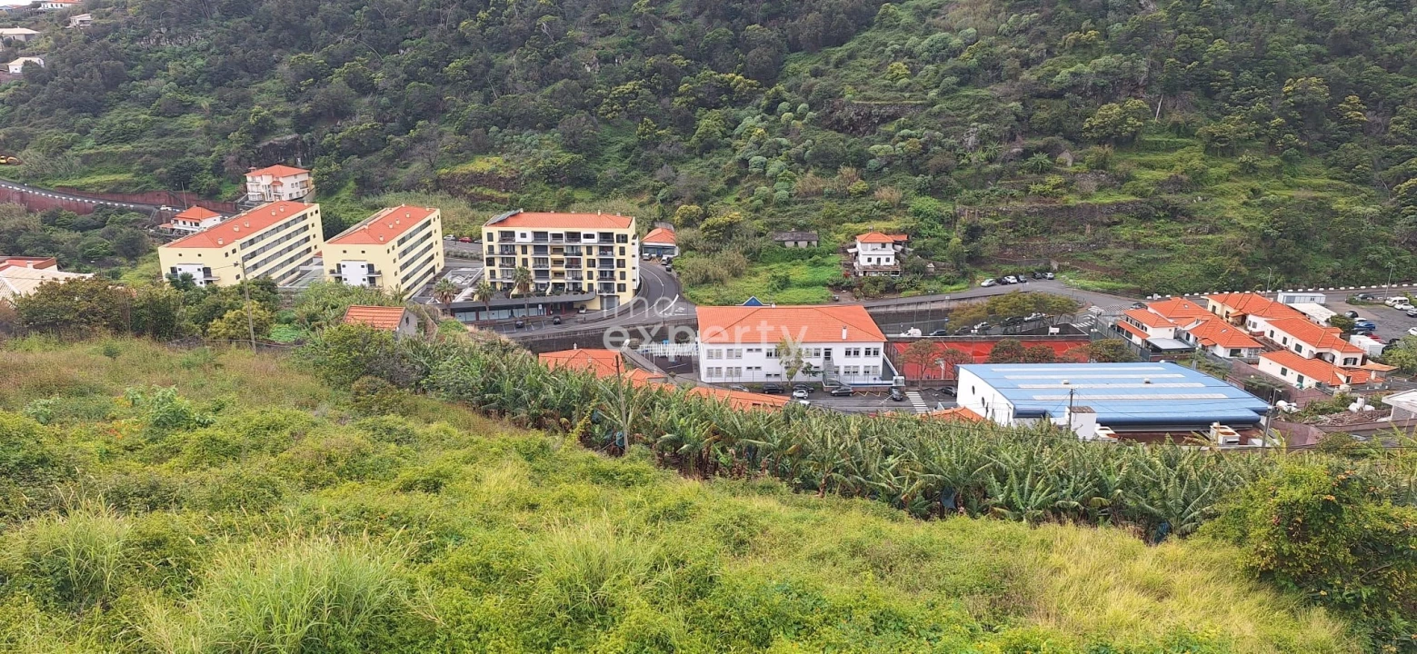 Terreno para Venda em Santa Cruz Foto 2