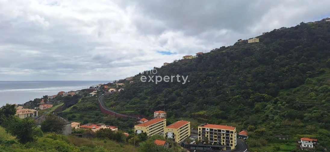 Terreno para Venda em Santa Cruz Foto 1