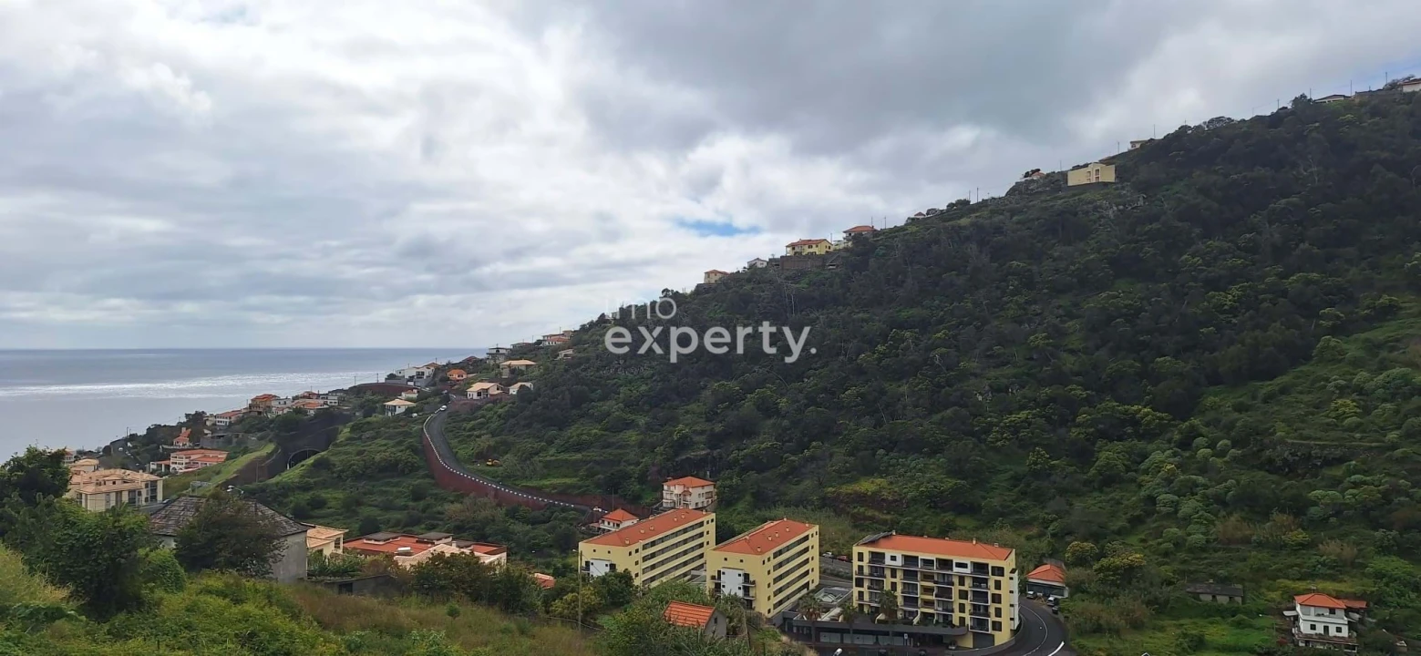 Terreno para Venda em Santa Cruz Foto 1