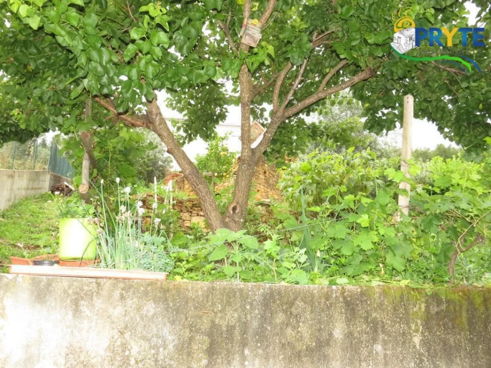 Moradia T4 para Venda em Troviscal Foto 59