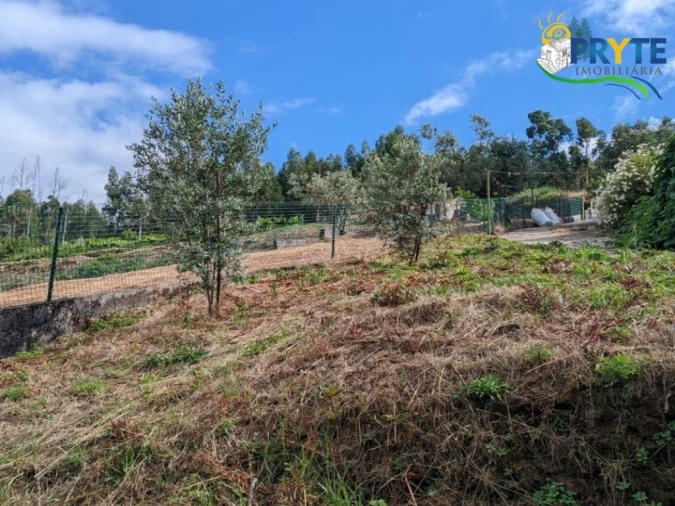 Moradia T4 para Venda em Troviscal Foto 66