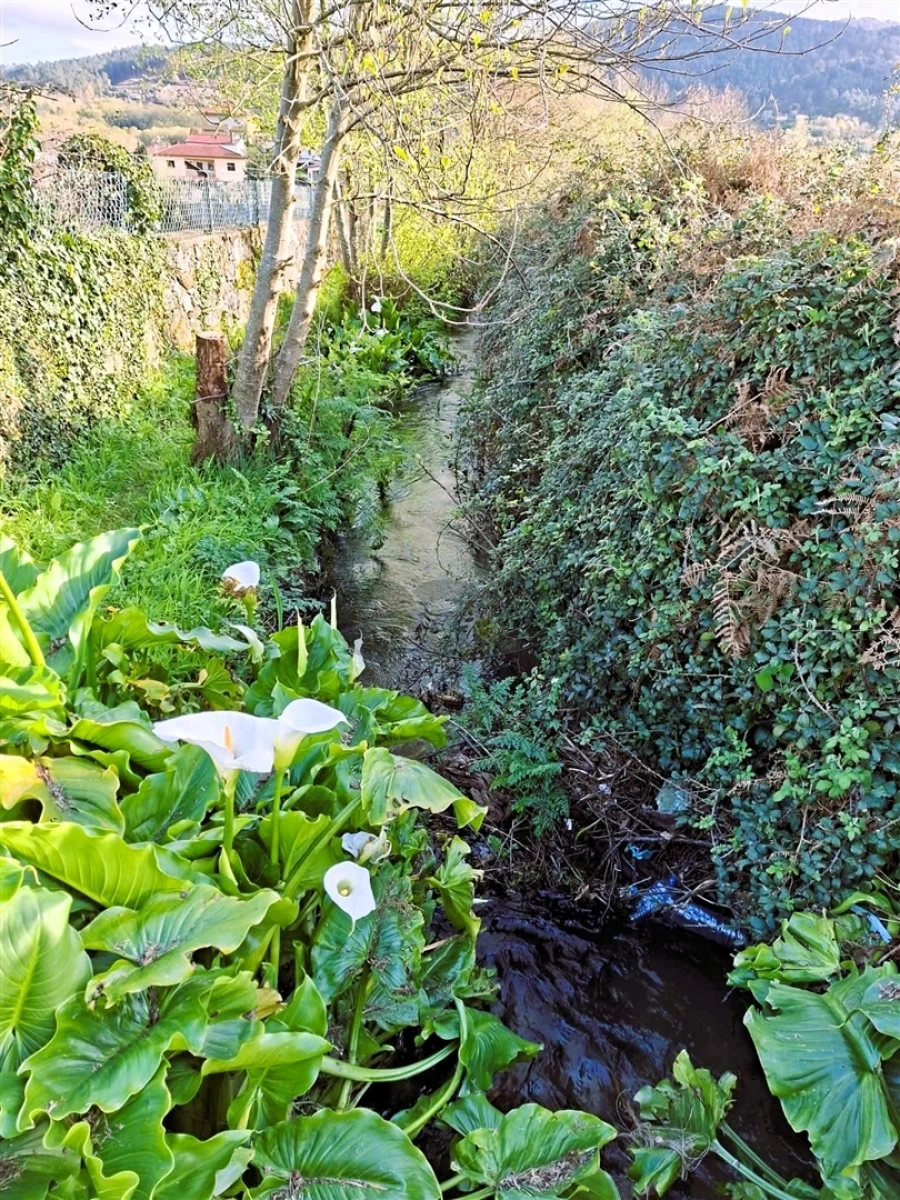 Terreno para Venda em Covas Foto 5
