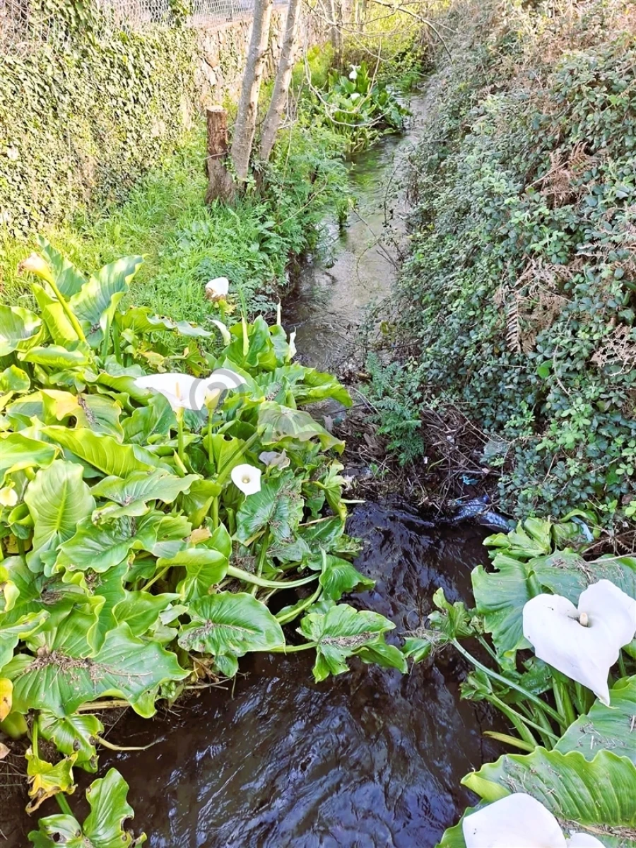 Terreno para Venda em Covas Foto 2