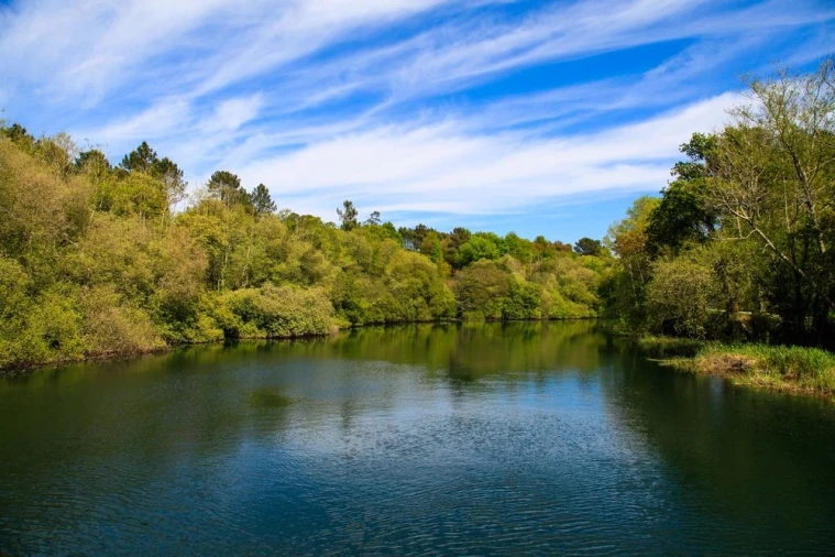 Terreno para Venda em Covas Foto 10