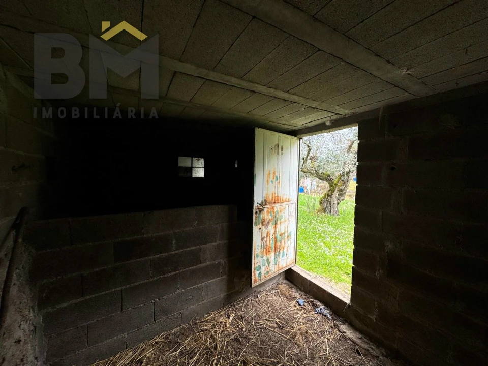 Terreno Agricola ou Rústico para Venda em Salgueiro do Campo Foto 8