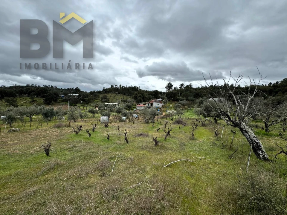 Terreno Agricola ou Rústico para Venda em Salgueiro do Campo Foto 16