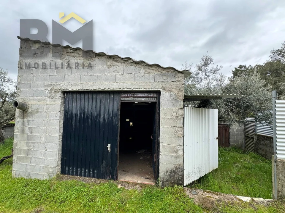 Terreno Agricola ou Rústico para Venda em Salgueiro do Campo Foto 4