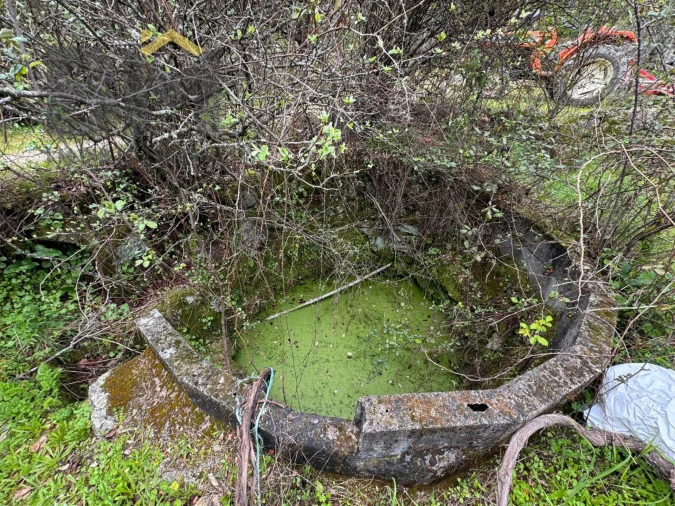 Terreno Agricola ou Rústico para Venda em Salgueiro do Campo Foto 11