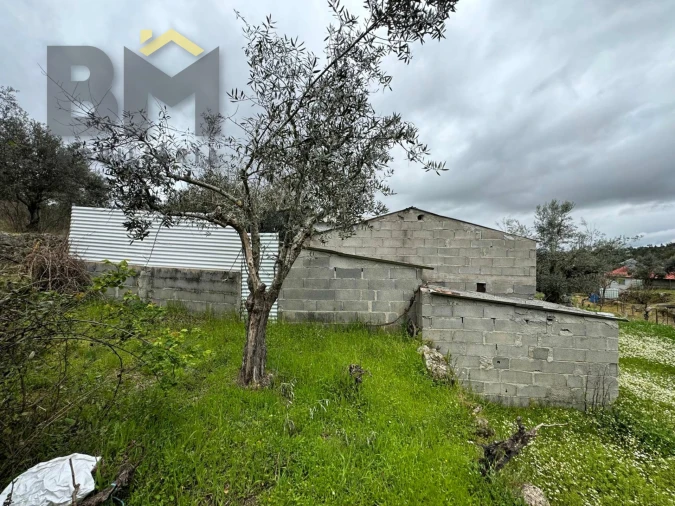 Terreno Agricola ou Rústico para Venda em Salgueiro do Campo Foto 9