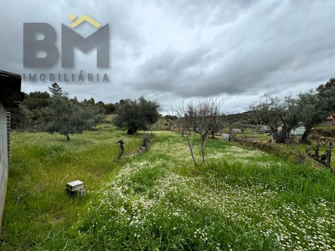 Terreno Agricola ou Rústico para Venda em Salgueiro do Campo Foto 12