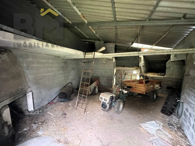 Terreno Agricola ou Rústico para Venda em Salgueiro do Campo Foto 5