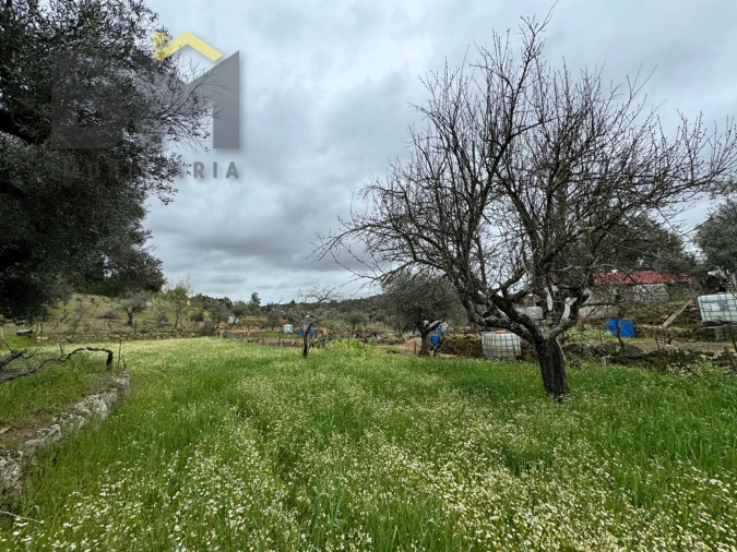 Terreno Agricola ou Rústico para Venda em Salgueiro do Campo Foto 13