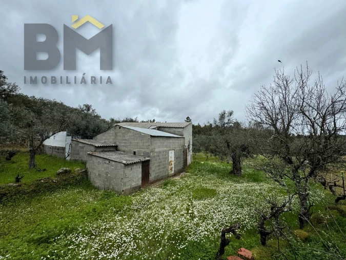 Terreno Agricola ou Rústico para Venda em Salgueiro do Campo Foto 3