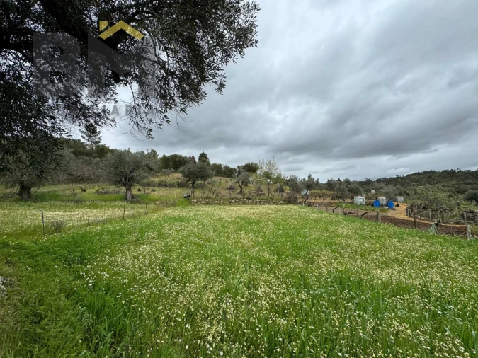Terreno Agricola ou Rústico para Venda em Salgueiro do Campo Foto 14