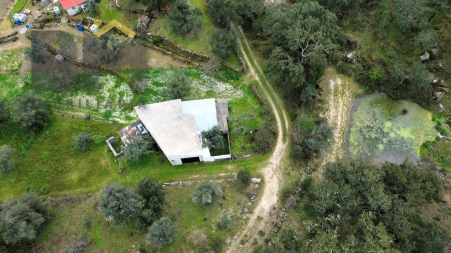 Terreno Agricola ou Rústico para Venda em Salgueiro do Campo Foto 2
