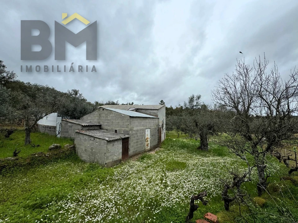 Terreno Agricola ou Rústico para Venda em Salgueiro do Campo Foto 3