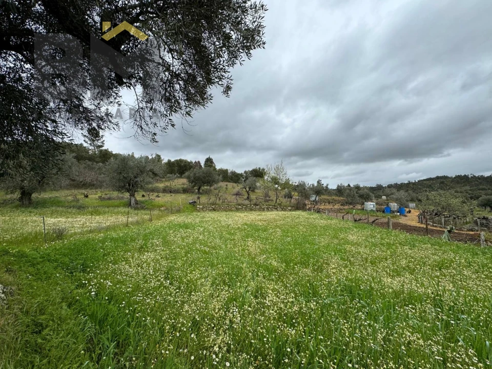 Terreno Agricola ou Rústico para Venda em Salgueiro do Campo Foto 14