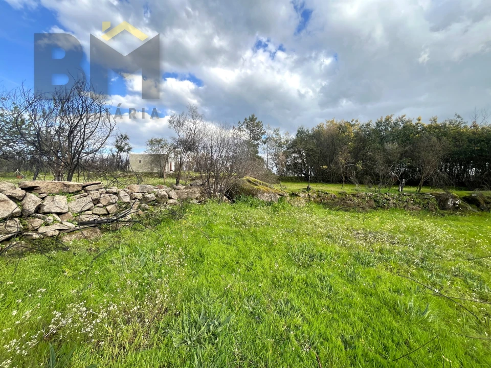 Quinta T0 para Venda em Soalheira Foto 24