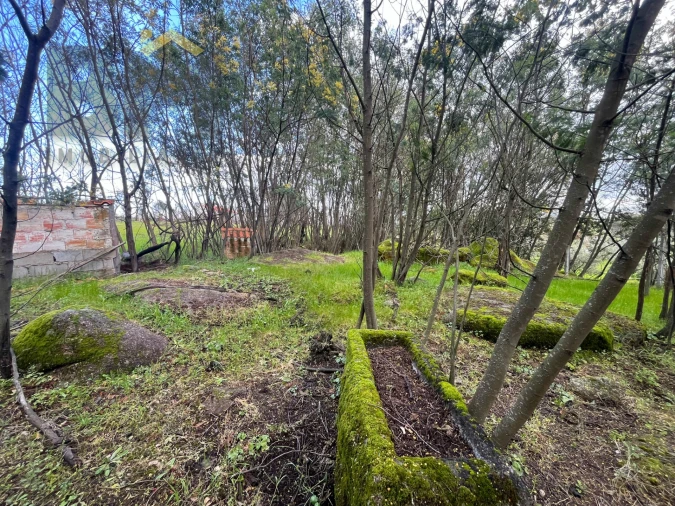 Quinta T0 para Venda em Soalheira Foto 22