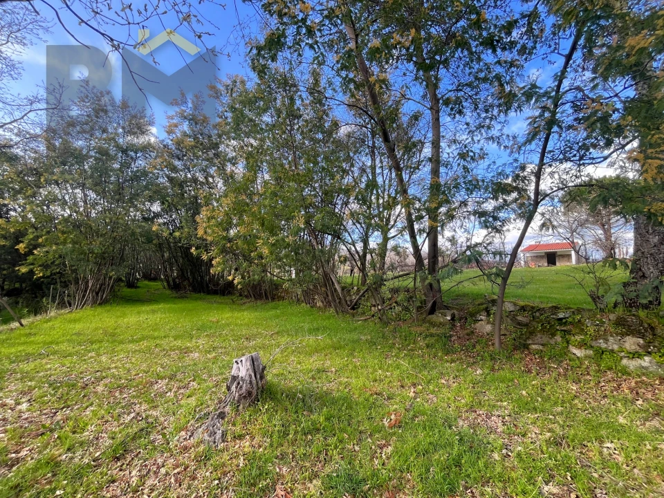 Quinta T0 para Venda em Soalheira Foto 20