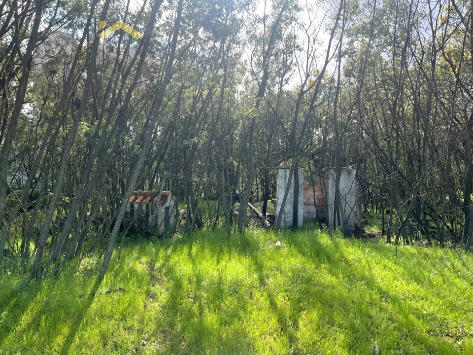 Quinta T0 para Venda em Soalheira Foto 21