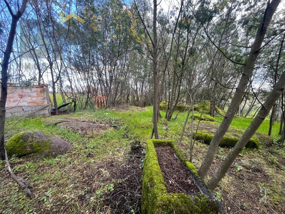 Quinta T0 para Venda em Soalheira Foto 22