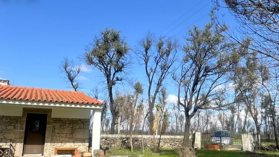 Quinta T0 para Venda em Soalheira