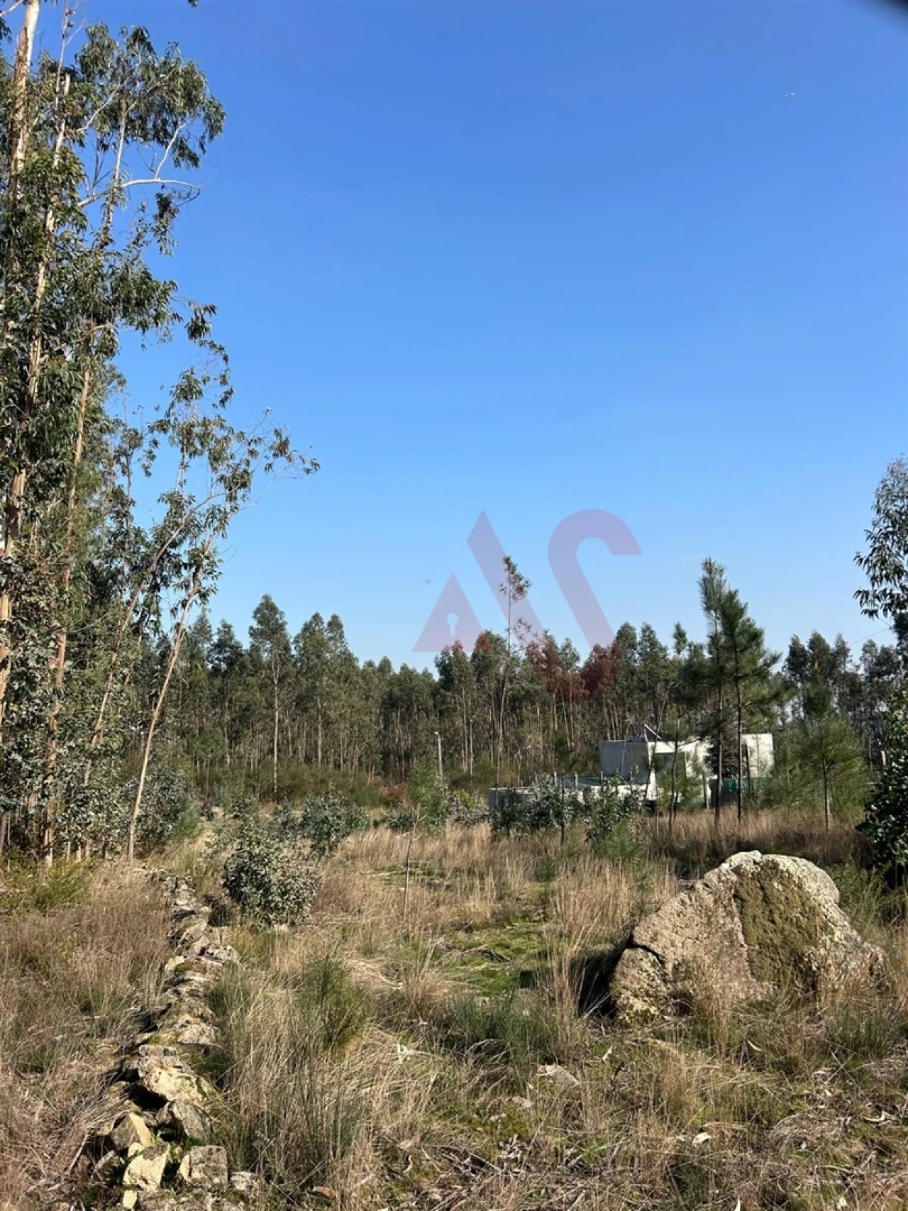 Terreno para Venda em Sanfins Lamoso Codessos Foto 4