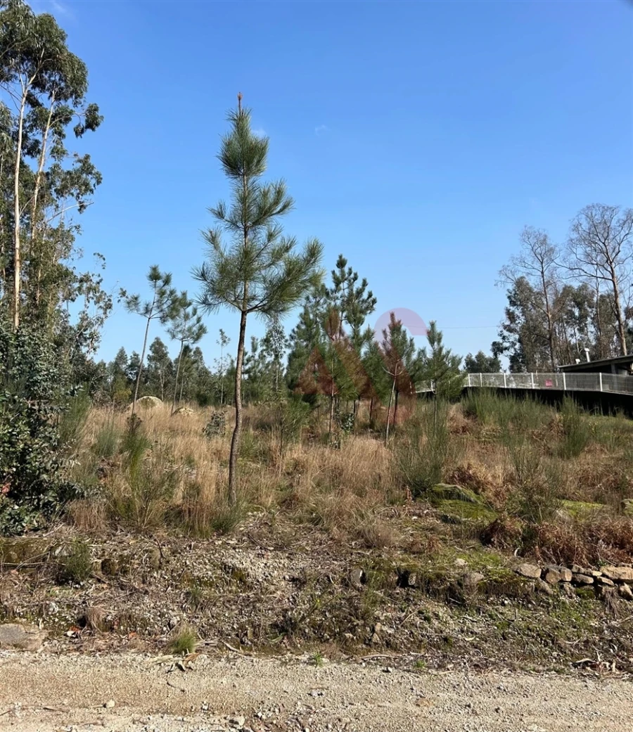 Terreno para Venda em Sanfins Lamoso Codessos Foto 2