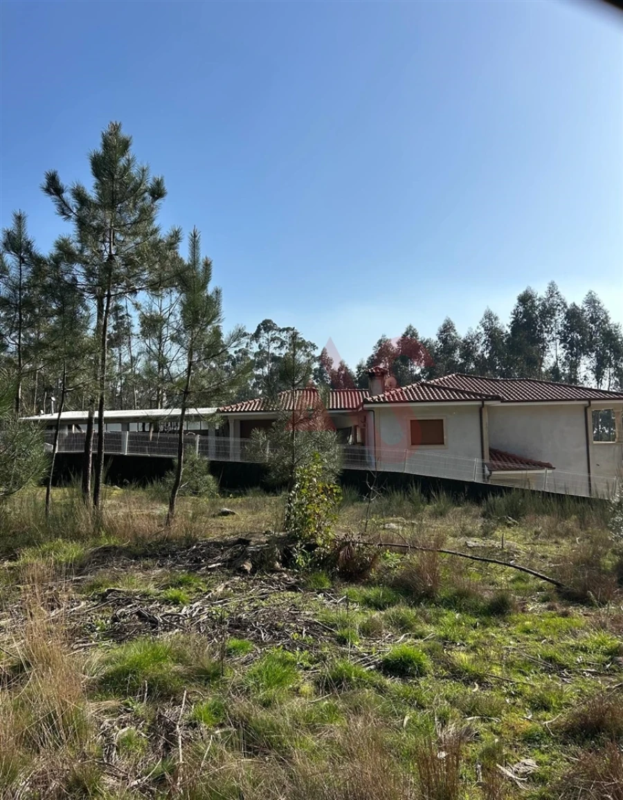 Terreno para Venda em Sanfins Lamoso Codessos Foto 6