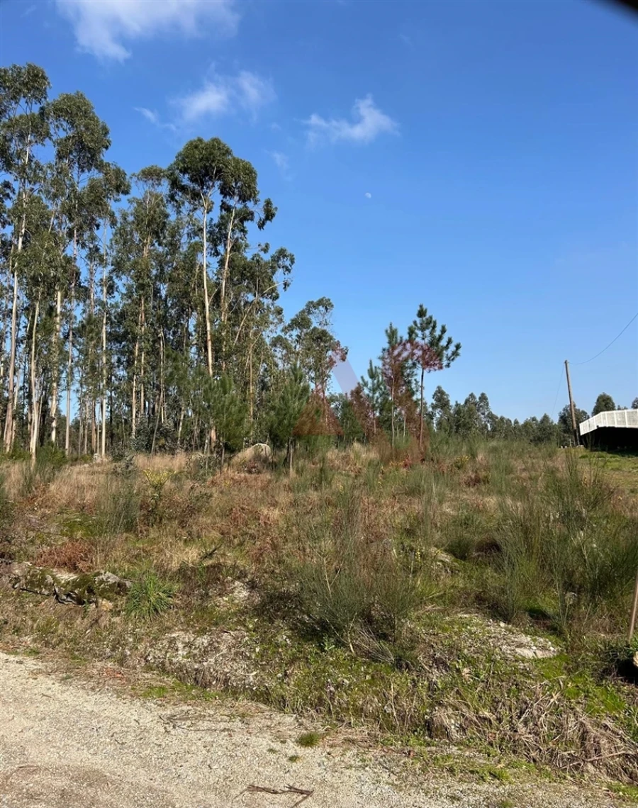 Terreno para Venda em Sanfins Lamoso Codessos Foto 3