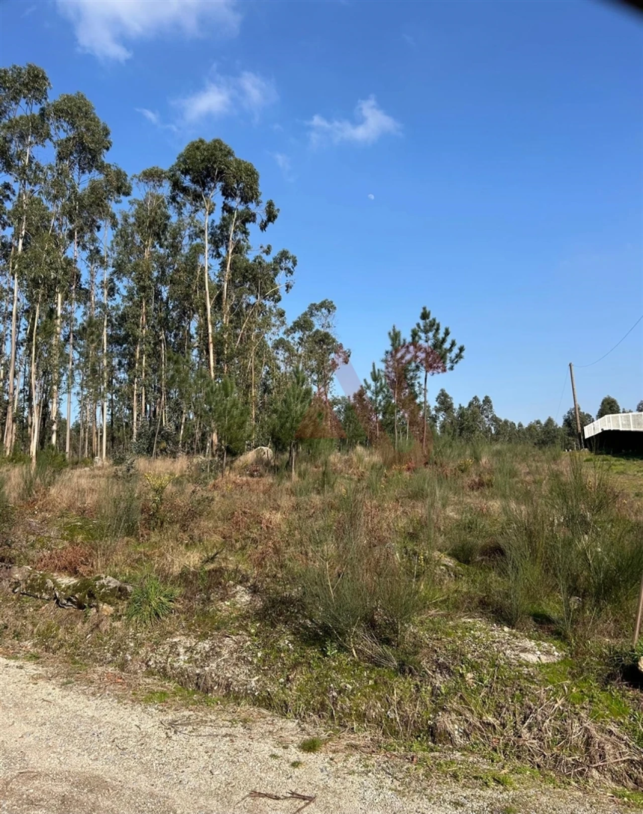 Terreno para Venda em Sanfins Lamoso Codessos Foto 3