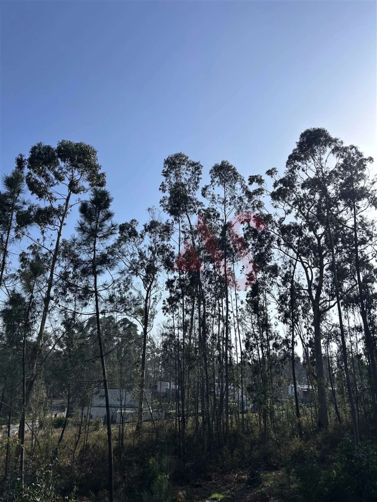 Terreno para Venda em Sanfins Lamoso Codessos Foto 6
