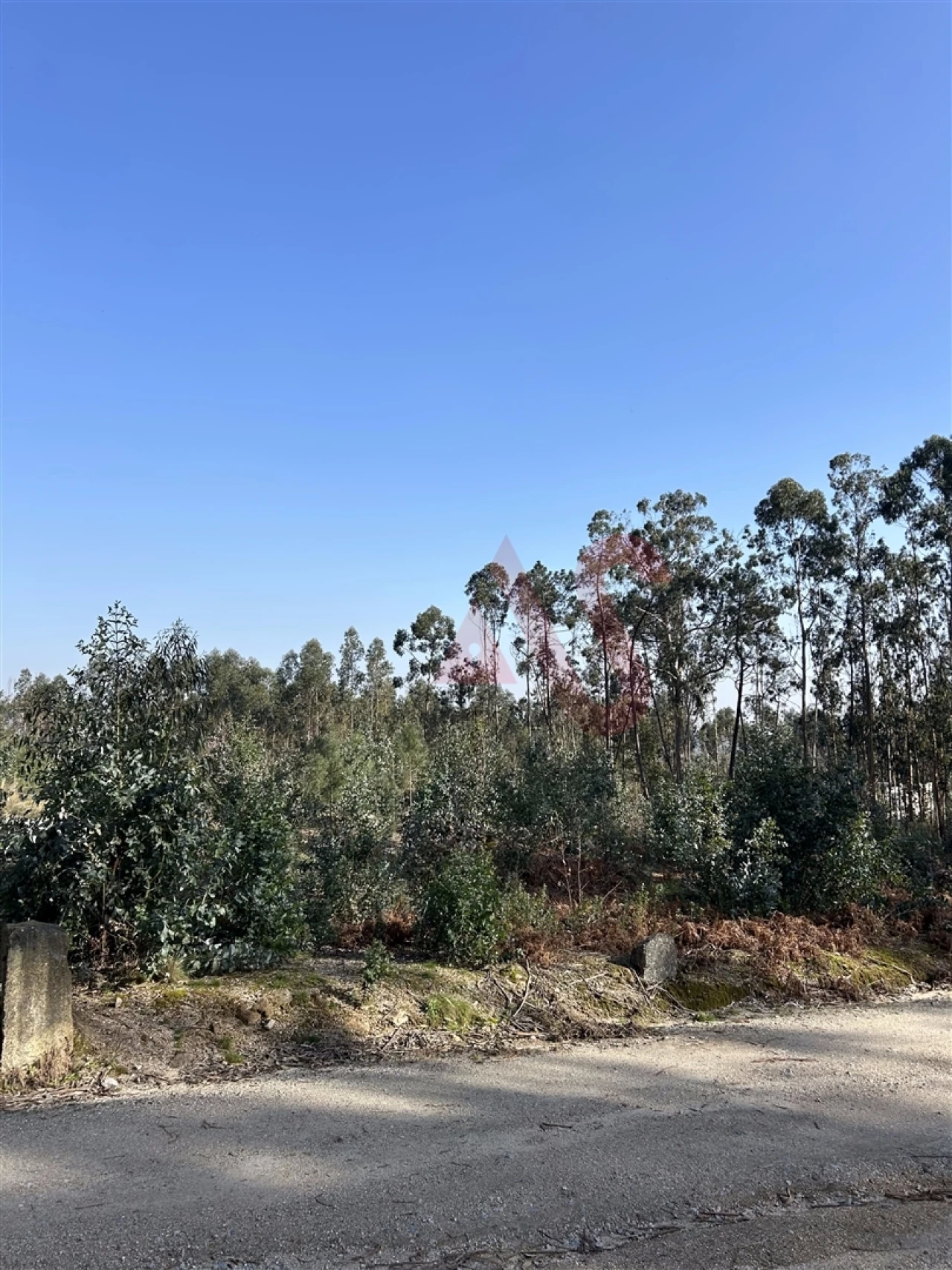 Terreno para Venda em Sanfins Lamoso Codessos Foto 4