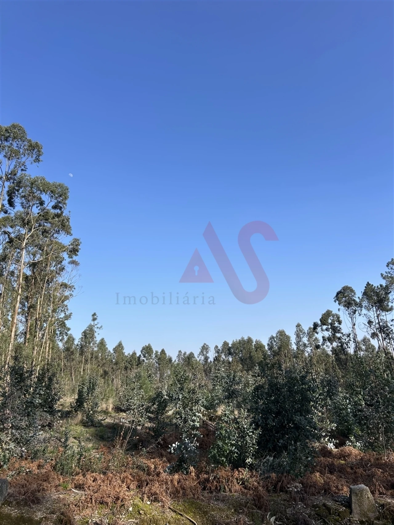 Terreno para Venda em Sanfins Lamoso Codessos Foto 3