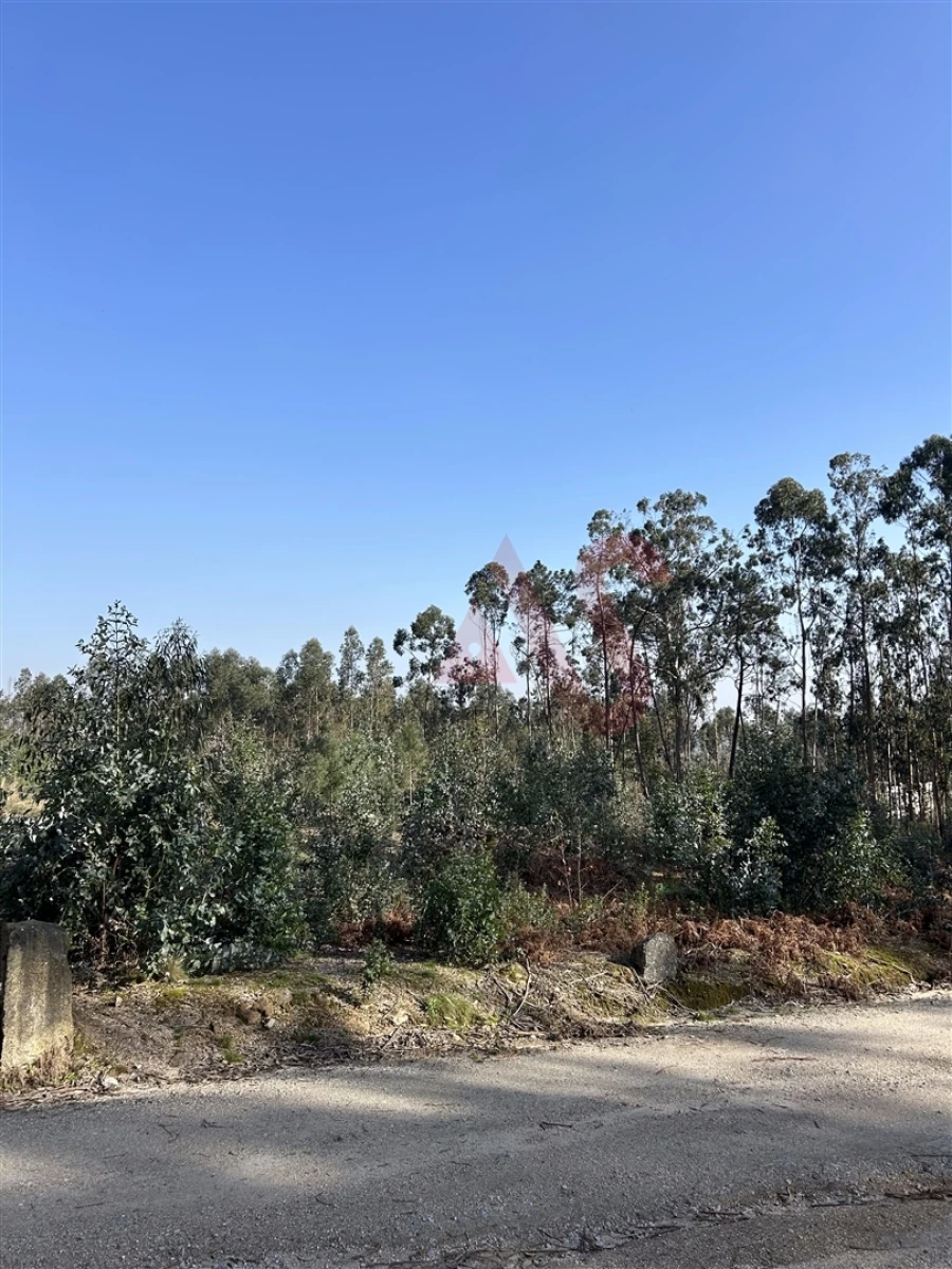 Terreno para Venda em Sanfins Lamoso Codessos Foto 4