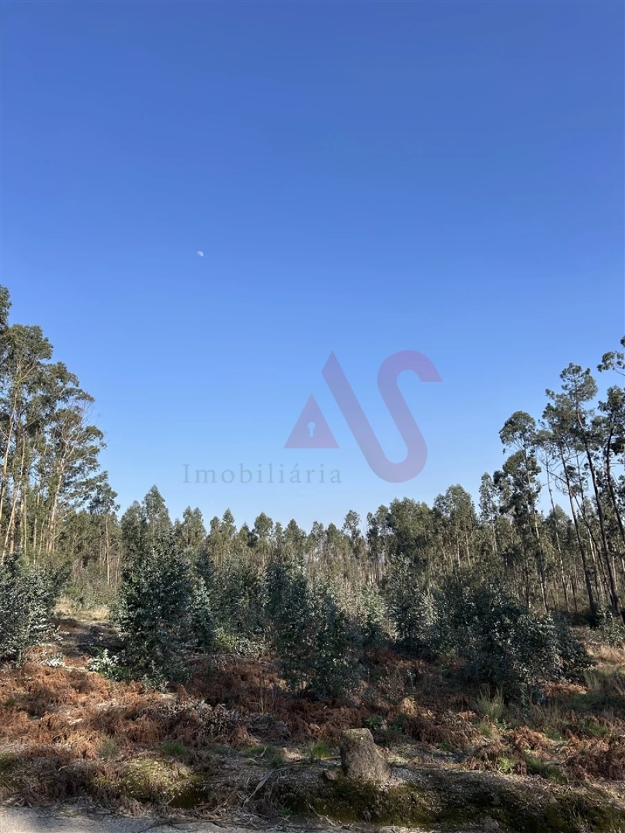 Terreno para Venda em Sanfins Lamoso Codessos Foto 2