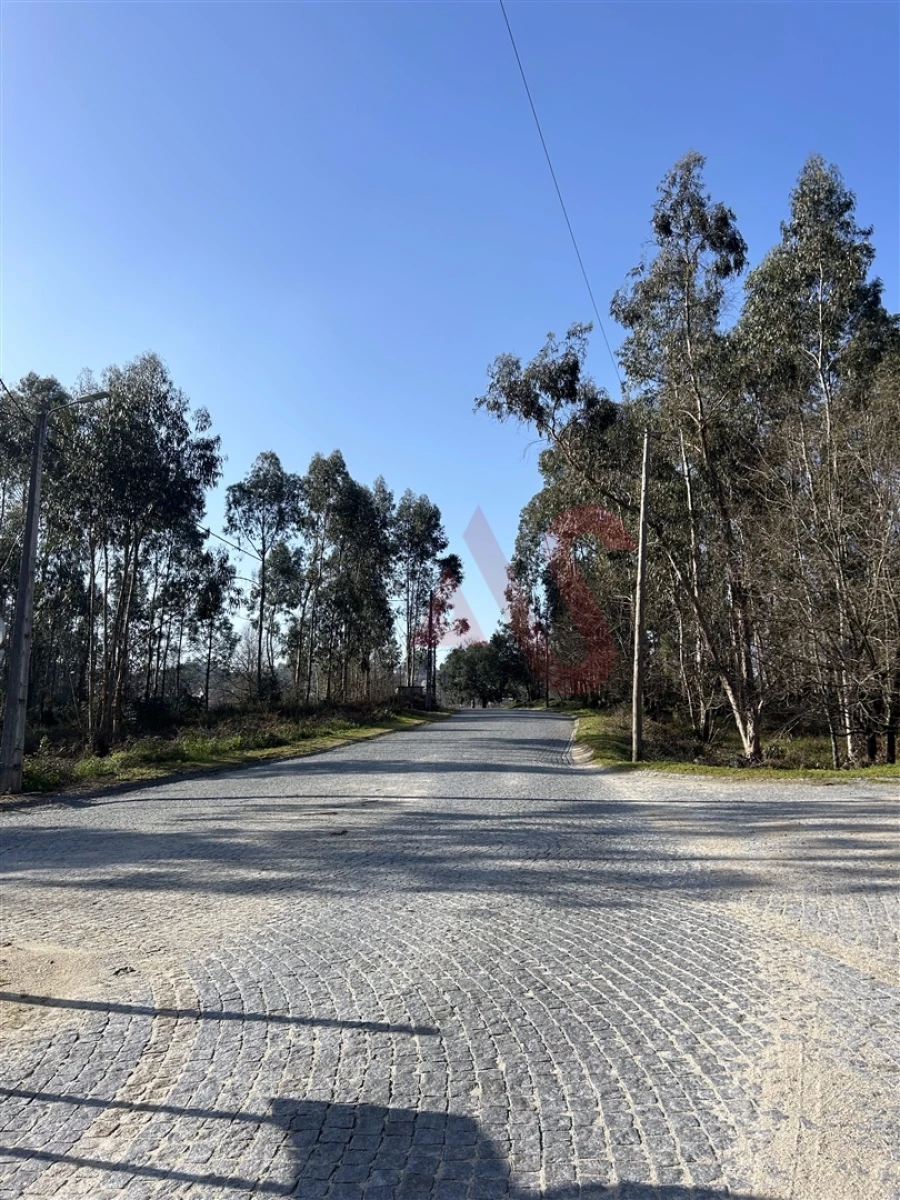 Terreno para Venda em Sanfins Lamoso Codessos Foto 7