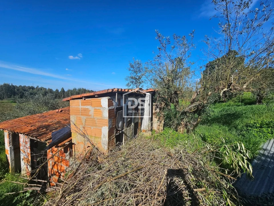 Moradia T2 para Venda em Asseiceira Foto 13