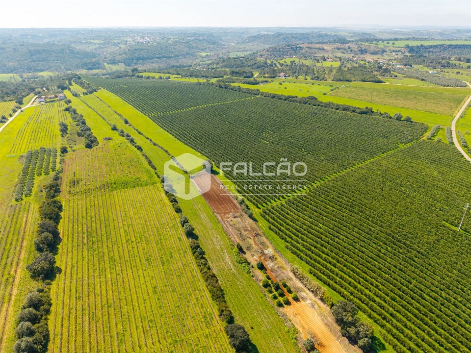 Terreno Agricola ou Rústico para Venda em Almoster Foto 21