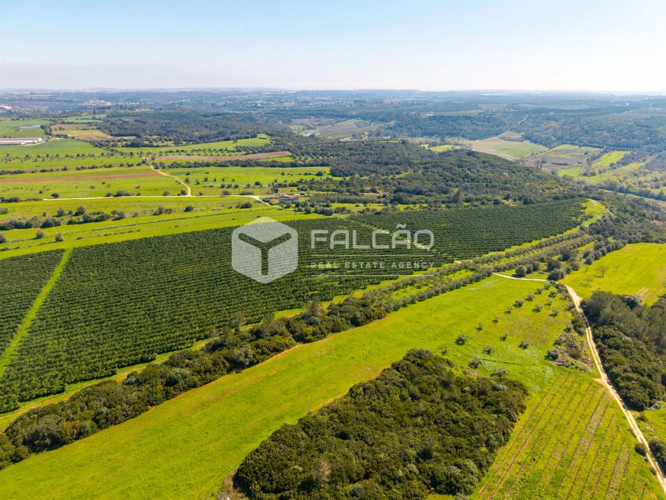 Terreno Agricola ou Rústico para Venda em Almoster Foto 6