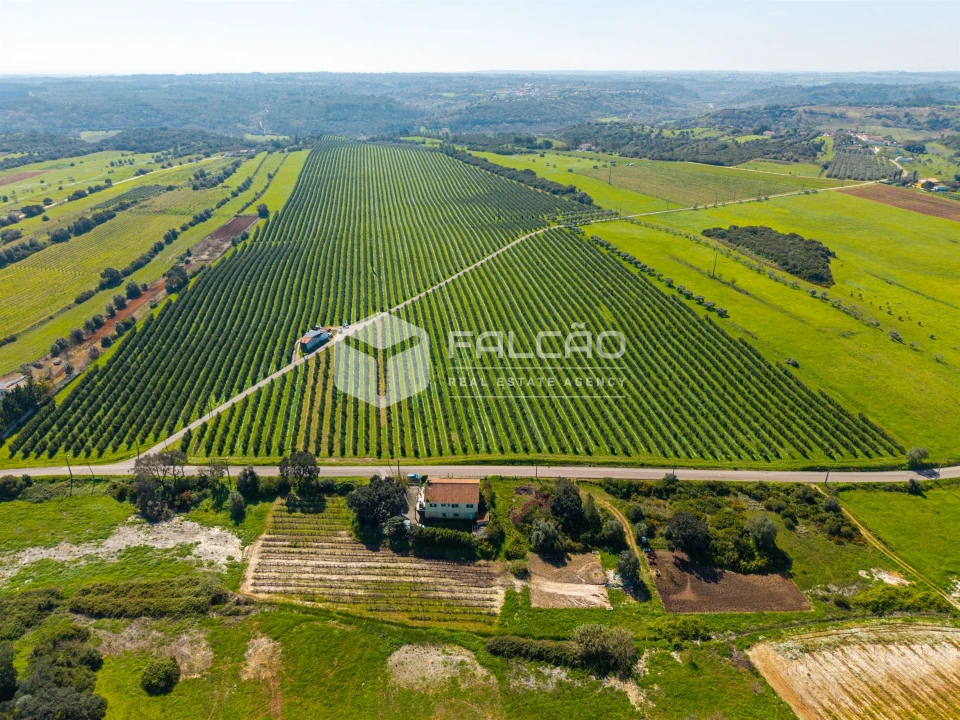 Terreno Agricola ou Rústico para Venda em Almoster Foto 24
