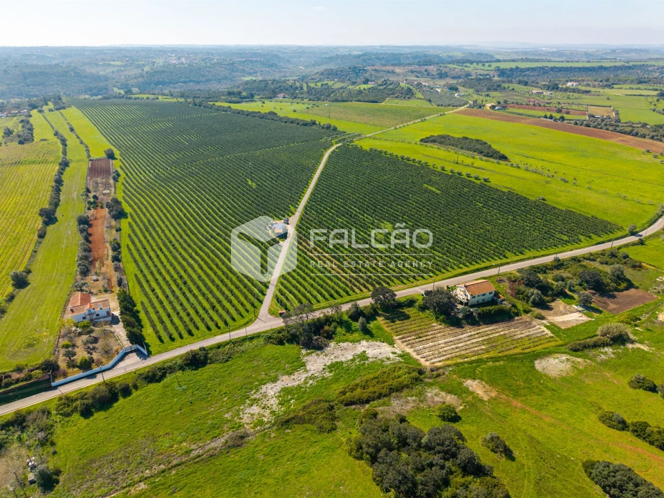 Terreno Agricola ou Rústico para Venda em Almoster Foto 22