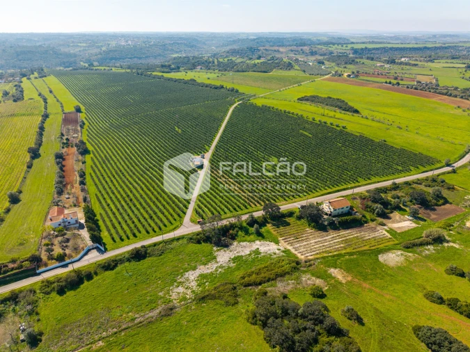 Terreno Agricola ou Rústico para Venda em Almoster Foto 22