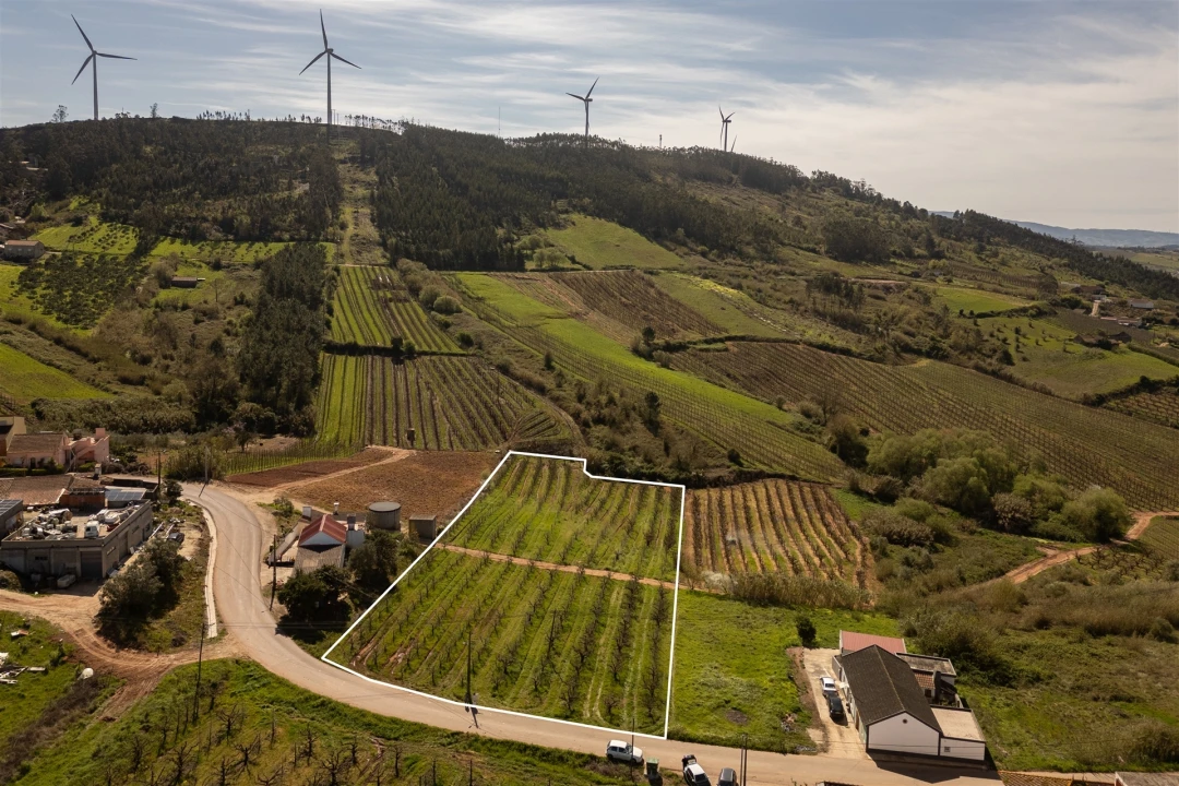 Terreno Agricola ou Rústico para Venda em Painho e Figueiros Foto 5