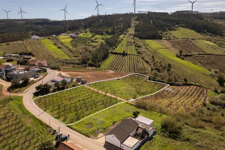 Terreno Agricola ou Rústico para Venda em Painho e Figueiros Foto 4