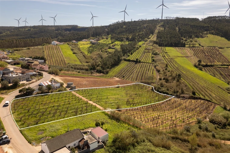 Terreno Agricola ou Rústico para Venda em Painho e Figueiros Foto 1