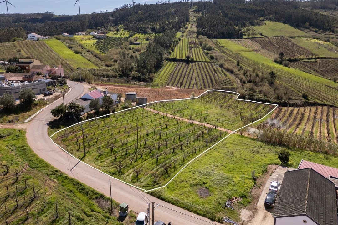 Terreno Agricola ou Rústico para Venda em Painho e Figueiros Foto 3