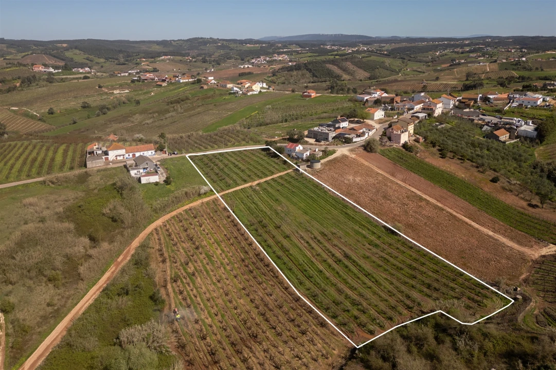 Terreno Agricola ou Rústico para Venda em Painho e Figueiros Foto 2