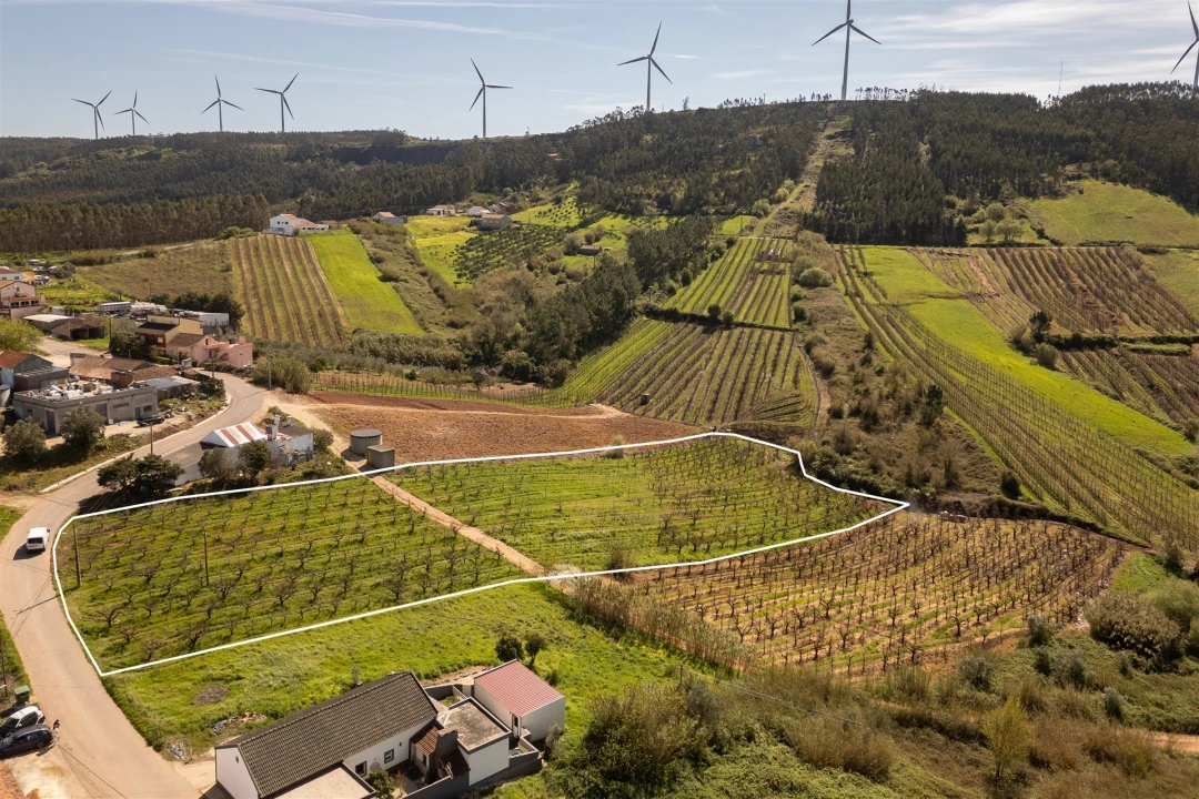 Terreno Agricola ou Rústico para Venda em Painho e Figueiros Foto 1